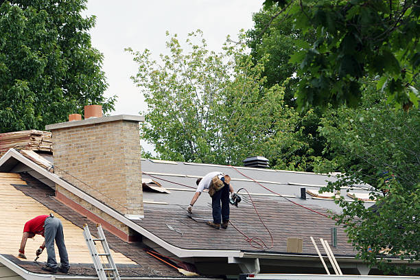 Best Roof Gutter Cleaning  in Northwoods, MO